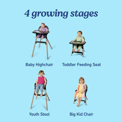 Ready2Dine® DLX 4-in-1 Highchair