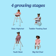 Ready2Dine® 4-in-1 Highchair